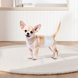 VEVOR Disposable Male Dog Diapers, Super Absorbent Male Dog Wraps, 360 ° Leak-Proof Belly Bands with Wetness Indicator for Doggies in Heat, Training, Incontinence - XS, 96 Count (2 Packs of 48) - Low Angle