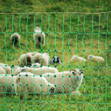 VEVOR Electric Fence Netting, 1.06 x 49.98 m, PE Net Fencing with Posts & Double-Spiked Stakes, Utility Portable Mesh for Goats, Sheep, Lambs, Deer,