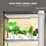 VEVOR Plant Stand with Grow Lights 4 Tiers 180W 150 cm Tall Plant Grow Shelf - Top-Down View