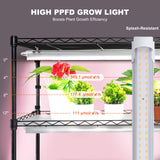 VEVOR Plant Stand with Grow Light 6 Tiers 180W 180 cm  Indoor Plant Grow Shelf - Top-Down View