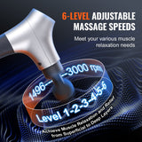 VEVOR Massage Gun Deep Tissue, Percussion Muscle Massager for Athletes - with 6 Speed Levels & 4 Massage Heads, 12V 2500mAh Batteries, Handheld