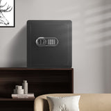 VEVOR Safe 1.8 Cubic Feet Home Safe Steel for Cash Gold 15.75x13x16.9 inch - Low Angle