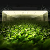 VEVOR LED Grow Light, 400W Full Spectrum Dimmable, High Yield Samsung 2B1B Diodes Growing Lamp for Indoor Plants Seedling Veg and Bloom Greenhouse