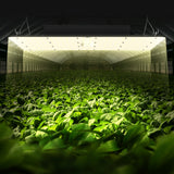 VEVOR LED Grow Light, 400W Full Spectrum Dimmable, High Yield Samsung 2B1B Diodes Growing Lamp for Indoor Plants Seedling Veg and Bloom Greenhouse Growing, Daisy Chain Driver for 4x4/5x5 ft Grow Tent - Low Angle