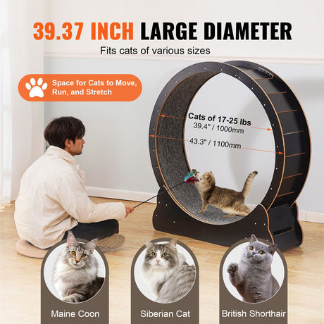 Wooden Cat Exercise Wheel, 43.3" Large Cat Treadmill Wheel for Indoor Cats, Cat Running Wheel with Detachable, image 4