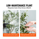 VEVOR Artificial Olive Tree, 15.2cm Tall Faux Plant, Secure PE Material & Anti-Tip Tilt Protection Low-Maintenance Plant, Lifelike Green Fake Potted Tree for Home Office Warehouse Decor Indoor Outdoor - Rear View