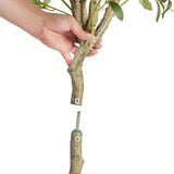 VEVOR Artificial Olive Tree, 15.2cm Tall Faux Plant, Secure PE Material & Anti-Tip Tilt Protection Low-Maintenance Plant, Lifelike Green Fake Potted Tree for Home Office Warehouse Decor Indoor Outdoor - Extra Image