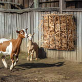 VEVOR Livestock Hay Feeder 2 Packs 24 Gallons Wall Mounted Goat Hay Rack