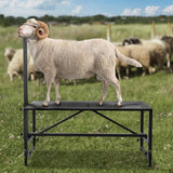 VEVOR Goat & Sheep Stand, 51x23 inch Livestock Stand, Metal Livestock Milking and Shearing Stand 21" to 33" Adjustable Height, with Headpiece and Nose