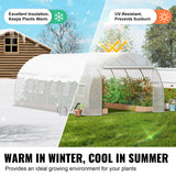 VEVOR Walk-in Tunnel Greenhouse, 19.4x9.7x6.5 ft Hoop House Greenhouse Tunnel, Plant Hot House with Galvanized Steel Frame, White PE Cover, Roll-up Zipper Door and 12 Windows for Outdoor - Top-Down View