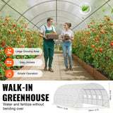 VEVOR Walk-in Tunnel Greenhouse, 19.4x9.7x6.5 ft Hoop House Greenhouse Tunnel, Plant Hot House with Galvanized Steel Frame, White PE Cover, Roll-up Zipper Door and 12 Windows for Outdoor - 45-Degree Angle