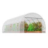 VEVOR Walk-in Tunnel Greenhouse, 19.4x9.7x6.5 ft Hoop House Greenhouse Tunnel, Plant Hot House with Galvanized Steel Frame, White PE Cover, Roll-up Zipper Door and 12 Windows for Outdoor - Extra Image