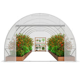 VEVOR Walk-in Tunnel Greenhouse, 19.4x9.7x6.5 ft Hoop House Greenhouse Tunnel, Plant Hot House with Galvanized Steel Frame, White PE Cover, Roll-up Zipper Door and 12 Windows for Outdoor - Extra Image