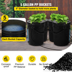 DWC Hydroponics Grow System, Hydroponic Growing System, Deep Water Culture 5-Gallon 4 Buckets, DWC System with Air Pump, Air Stones and Water Level Device for Leafy Vegetables