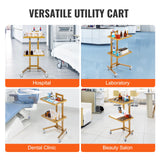 VEVOR 2 Tiers Stainless Steel Lab Carts with 2 Trays & 4 Silent Wheels Golden - Rear View