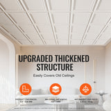 VEVOR Ceiling Tiles 48-Pack 20 x 20 in Polystyrene Easy Installation Glue-up - Top-Down View