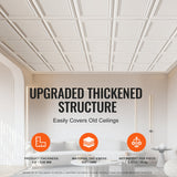 VEVOR Ceiling Tiles 96-Pack 20 x 20 in Polystyrene Easy Installation Glue-up - Top-Down View