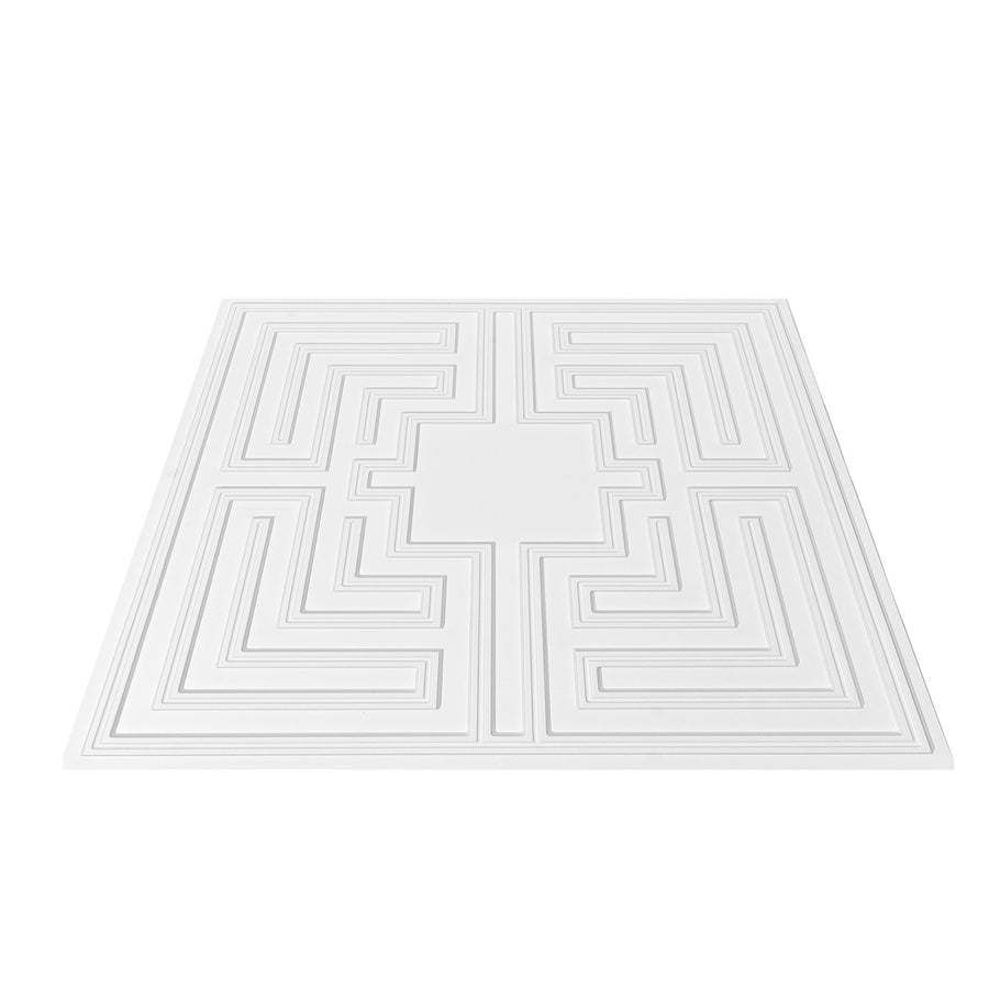 Ceiling Tiles 12-Pack 24 x 24 in PVC Easy Installation White Echo Pattern