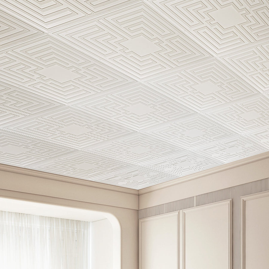 Ceiling Tiles 12-Pack 24 x 24 in PVC Easy Installation White Echo Pattern