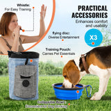 VEVOR Dog Agility Training Equipment 7 PCS Set Upgrade w/ Hurdles 2 Tunnels Ring - Rear View