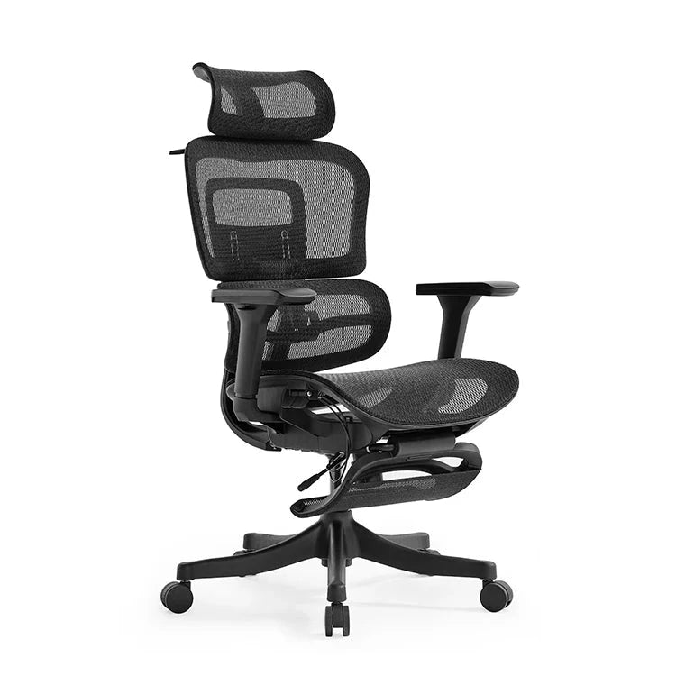 High Back Ergonomic Mesh Office Chair