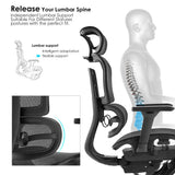 High Back Ergonomic Mesh Office Chair - Top-Down View