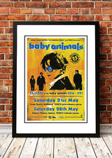Baby Animals ??5 Years??Sydney / Melbourne, Australia 2016 Tour Poster - Framed A3