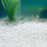 2x Showmaster Aussie White Aquariam Sand 5kg-2018816706885062657