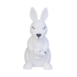 Lil' Dreamers Kangaroo Soft Touch LED Light-2006732784512667648