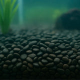 3x Showmaster 4-6mm Black Pebbles 5kg-2018816779043868673