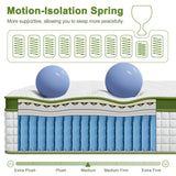 BedStory 34cm Queen Latex Hybrid Mattress Medium Firm - 5 Zone Pocket Spring Bed for Pressure Relief Motion Isolation
