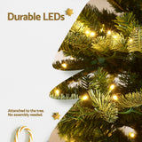 Jingle Jollys Christmas Tree 2.1M LED Sparse Xmas Tree 860 Tips Party Decoration - Rear View