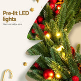 Jingle Jollys Christmas Wreath 60CM LED Garland Berries Pine Cones Party Decor - Rear View