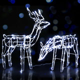 2 PCS Christmas Lights Reindeers 200 LED Decorations Jingle Jollys - Low Angle