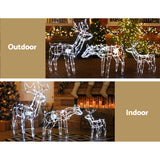 3 PCS Christmas Lights Reindeers 250 LED Decorations Jingle Jollys - Top-Down View