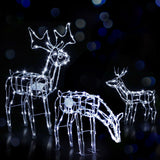 3 PCS Christmas Lights Reindeers 250 LED Decorations Jingle Jollys - Low Angle