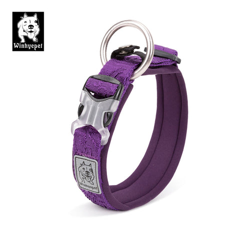 Whinhyepet Collar purple - 2XL-1962324908855922689