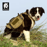 Whinhyepet Military Harness - Army Green, M - Top-Down View