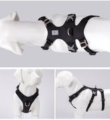 Whinhyepet Dog Harness - Black, 2XS - Side View