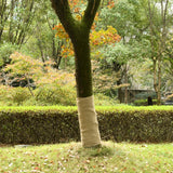 Jute Roll 1x25 m 100% Jute 200 gsm - Front View