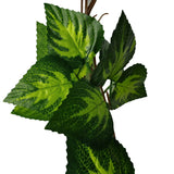 Artificial Pothos / Ivy Hanging Vines 260cm Each (5 pack) - Top-Down View