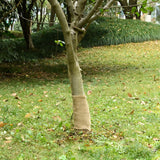 Jute Roll 0.25x10 m 100% Jute 200 gsm - Front View