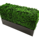 Black Metal Planter Small
