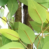 Artificial Bushy Ficus Tree 145cm - Top-Down View