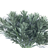 Cypress Bush Plant Stem UV Resistant 25cm - Side View