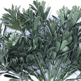 Cypress Bush Plant Stem UV Resistant 25cm - Front View