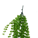Hanging Pearls 90 cm - Side View