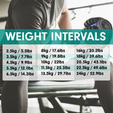 Powertrain 24kg Adjustable Dumbbell Home Gym Exercise Weights Free Workout Blue - Rear View