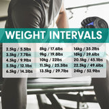 Powertrain 48kg Adjustable Dumbbell Set Home Gym Exercise Equipment Weights Blue - Rear View