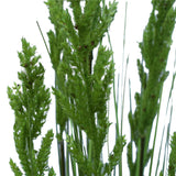 Flowering Native Grass 120 cm - Top-Down View